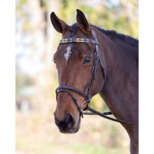 Frontalino in cuoio Polo Shires