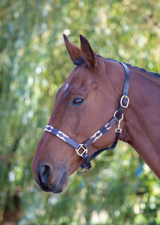 Capezza in cuoio Blenheim Polo