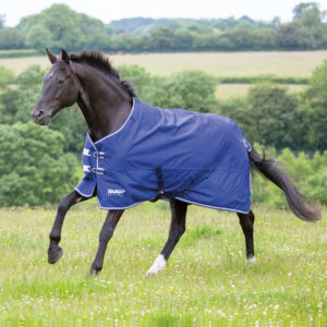 Coperta  paddock Tempest by Shires sfoderata