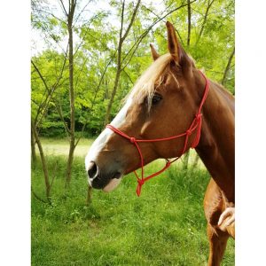 Capezza Etologica in corda Riding World 510148