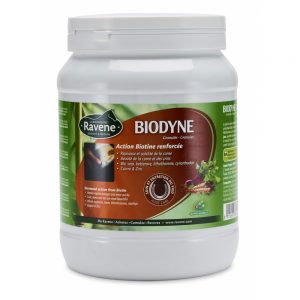 Biotina in granuli Ravene 1 kg