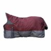COPERTA PADDOCK IMBOTTITURA 300 G HKM 14957