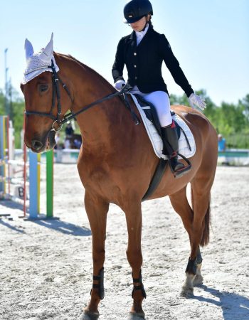 vendita_abbigliamento_equitazione_cavallo_cavaliere_montainglese_2